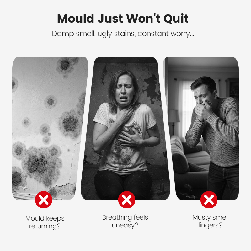 ⏰🔥Final 1-Hour Special！🔥Highly Effective Mould Removal Spray - Prevents Mould Regrowth.✅Save your and your family's health