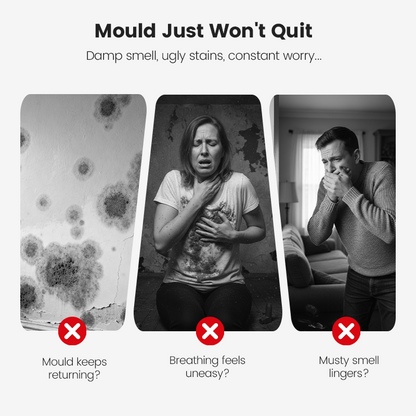 ⏰🔥Final 1-Hour Special！🔥Highly Effective Mould Removal Spray - Prevents Mould Regrowth.✅Save your and your family's health