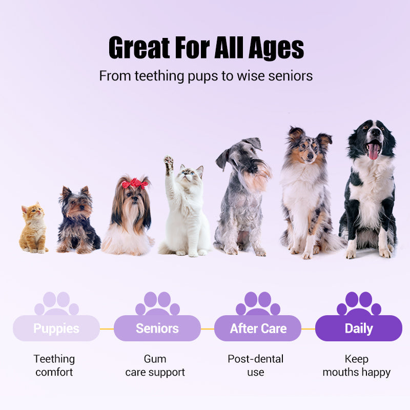 Pet Oral Repair Gel Toothbrush 🐱🐶