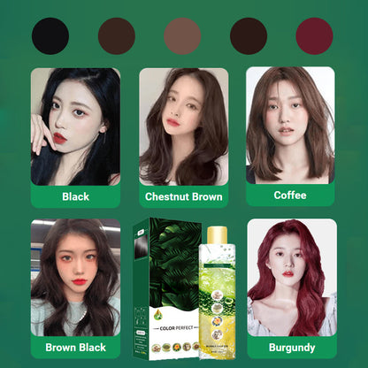 🍀Plant Extract Bubble Hair Dye
