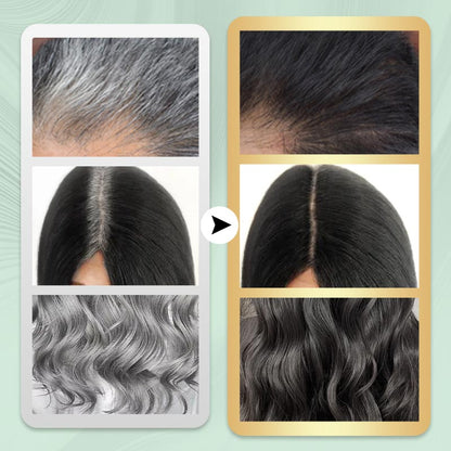 Long Lasting Natural Hair Dye Shampoo