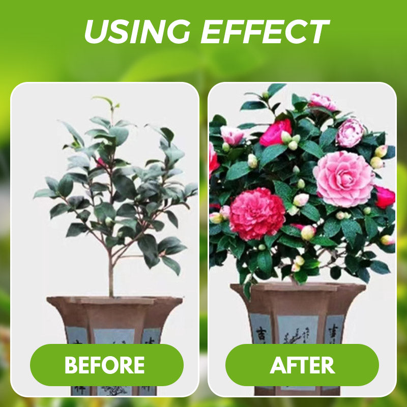 ✨🔥All-Purpose Plant Liquid Fertilizer - No Dilution Required
