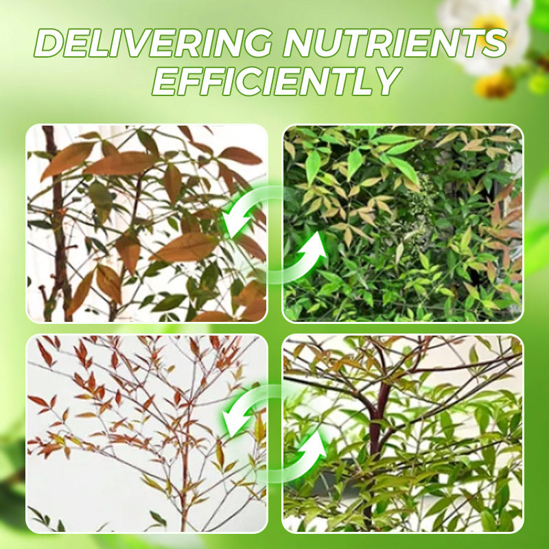 ✨🔥All-Purpose Plant Liquid Fertilizer - No Dilution Required
