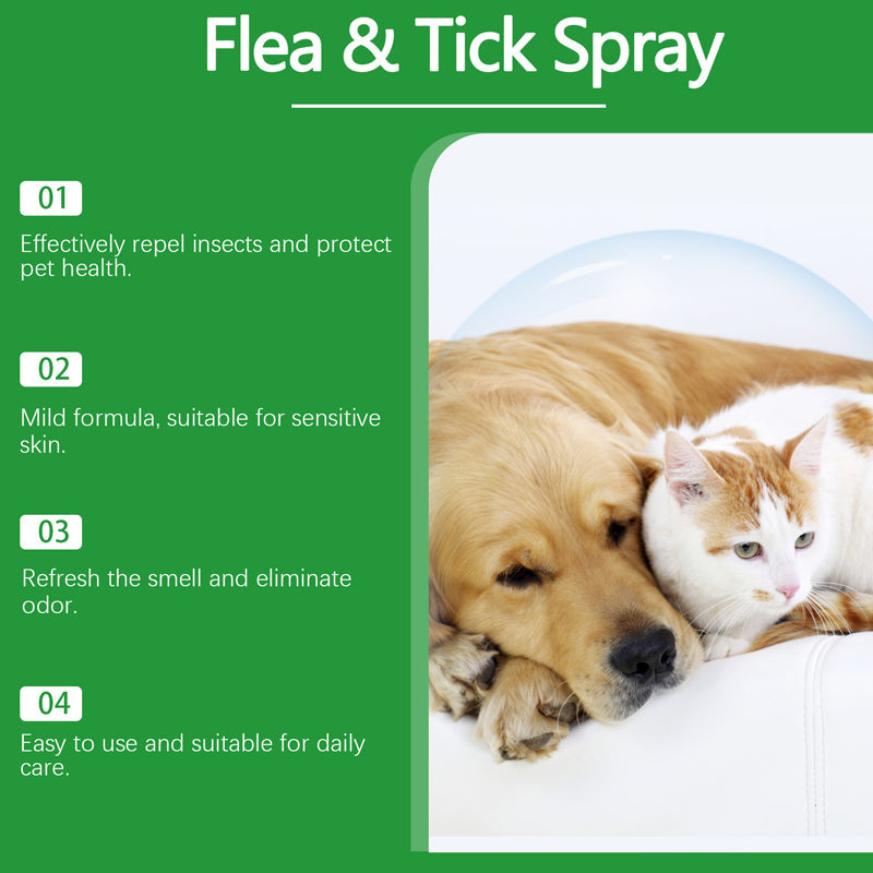 🔥Limited Time Promotion 50% OFF🐶🐱Natural Flea & Tick Spray for Dogs and Cats🐾 Keep Your Beloved Pet Free From Pests