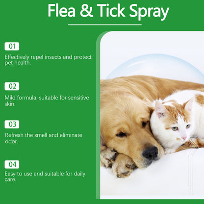 🔥Limited Time Promotion 50% OFF🐶🐱Natural Flea & Tick Spray for Dogs and Cats🐾 Keep Your Beloved Pet Free From Pests