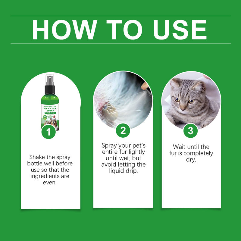 🔥Limited Time Promotion 50% OFF🐶🐱Natural Flea & Tick Spray for Dogs and Cats🐾 Keep Your Beloved Pet Free From Pests