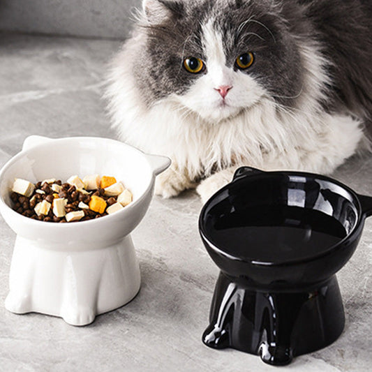 🐱 LIMITED-TIME 50% OFF! ✨ Ergonomic Elevated Cat Bowl – 15° Tilt, Ceramic, Anti-Ti