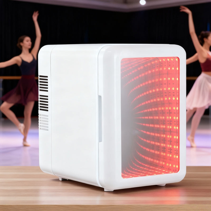 Small Refrigerator With Dimmable LED Light